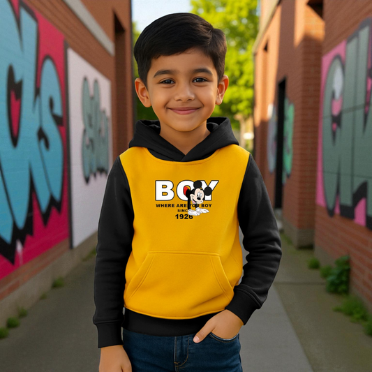 Premium Quality Boys’ Hoodie - SBD 005